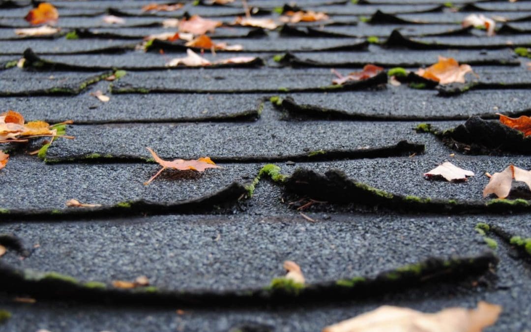4 Tips for Annual Roof Maintenance