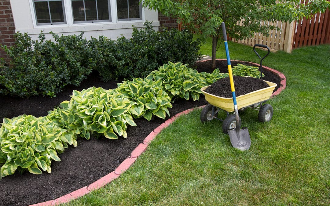 Low-Maintenance Landscaping: Spend Less Time Working in Your Yard